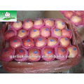 Fuji Apple (18kg Karton, 125-138-150PCS)